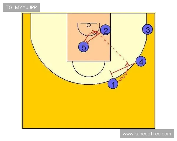 上海排球队包夹战术解析与应用探讨 上海排球队包夹战术解析与应用探讨