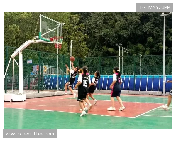 广州排球队战术创新引领潮流排球战术排名再创佳绩