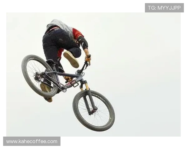 成都极限运动队攻防战术创新探索与实践全景解析