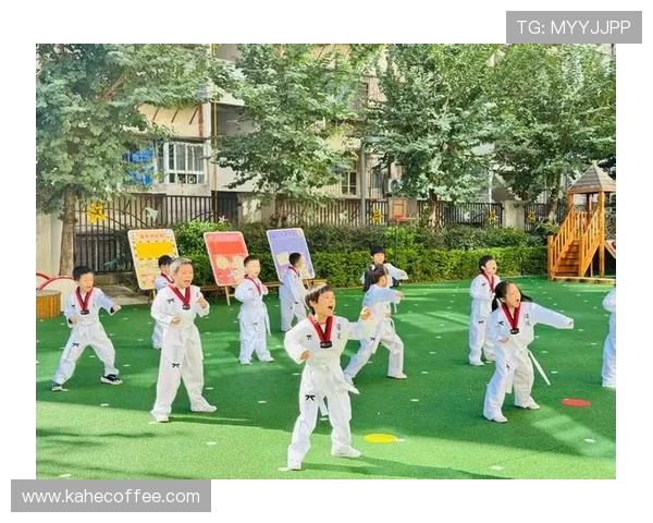 成都足球队的团队协作精神与战术配合探讨