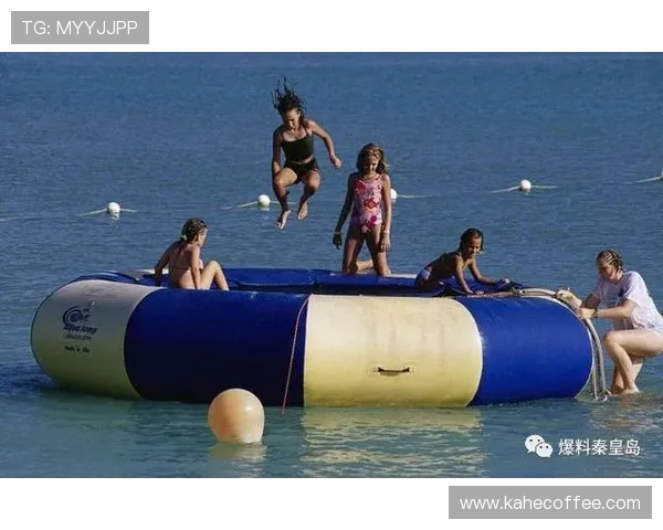 杨静独家分享排球心得与技巧助你提升球技的全面指南