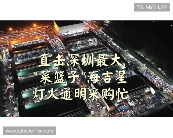 杭州极限运动队速度之争引发热议背后的真相与挑战 杭州极限运动队速度之争引发热议背后的真相与挑战