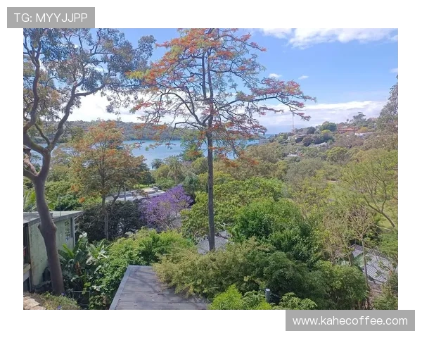 布里斯班与悉尼漫步之旅:探索澳大利亚两大城市的魅力与风情 布里斯班与悉尼漫步之旅:探索澳大利亚两大城市的魅力与风情