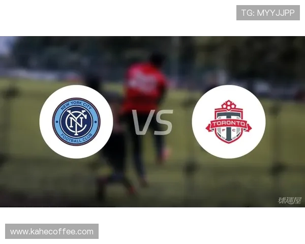 纽约城与多伦多的文化碰撞与生活方式对比探讨