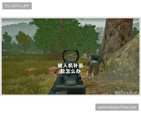 和平精英评论：LNG反击战中的得与失分析与反思