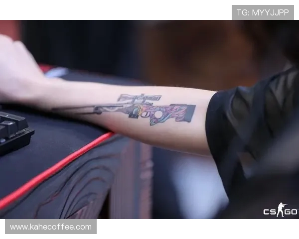 对话黄丽探讨CSGO职业生涯与电竞未来发展之路