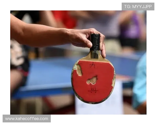 成都乒乓球队比赛经验分享与提升策略的深入探讨