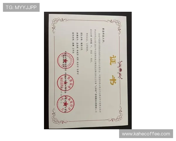 V5在精英赛中的心理素质分析与表现评估 V5在精英赛中的心理素质分析与表现评估