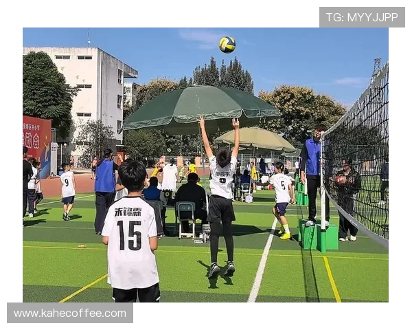 权威发布：2023年排球运动员个人能力实力排行榜全面解析与点评