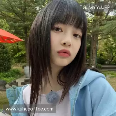 蒙芝斯